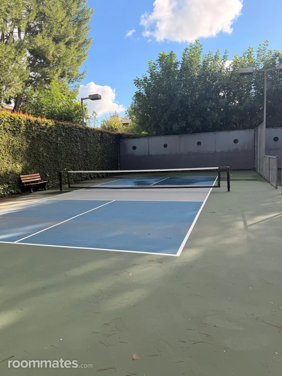 Profile photo 5 of 11