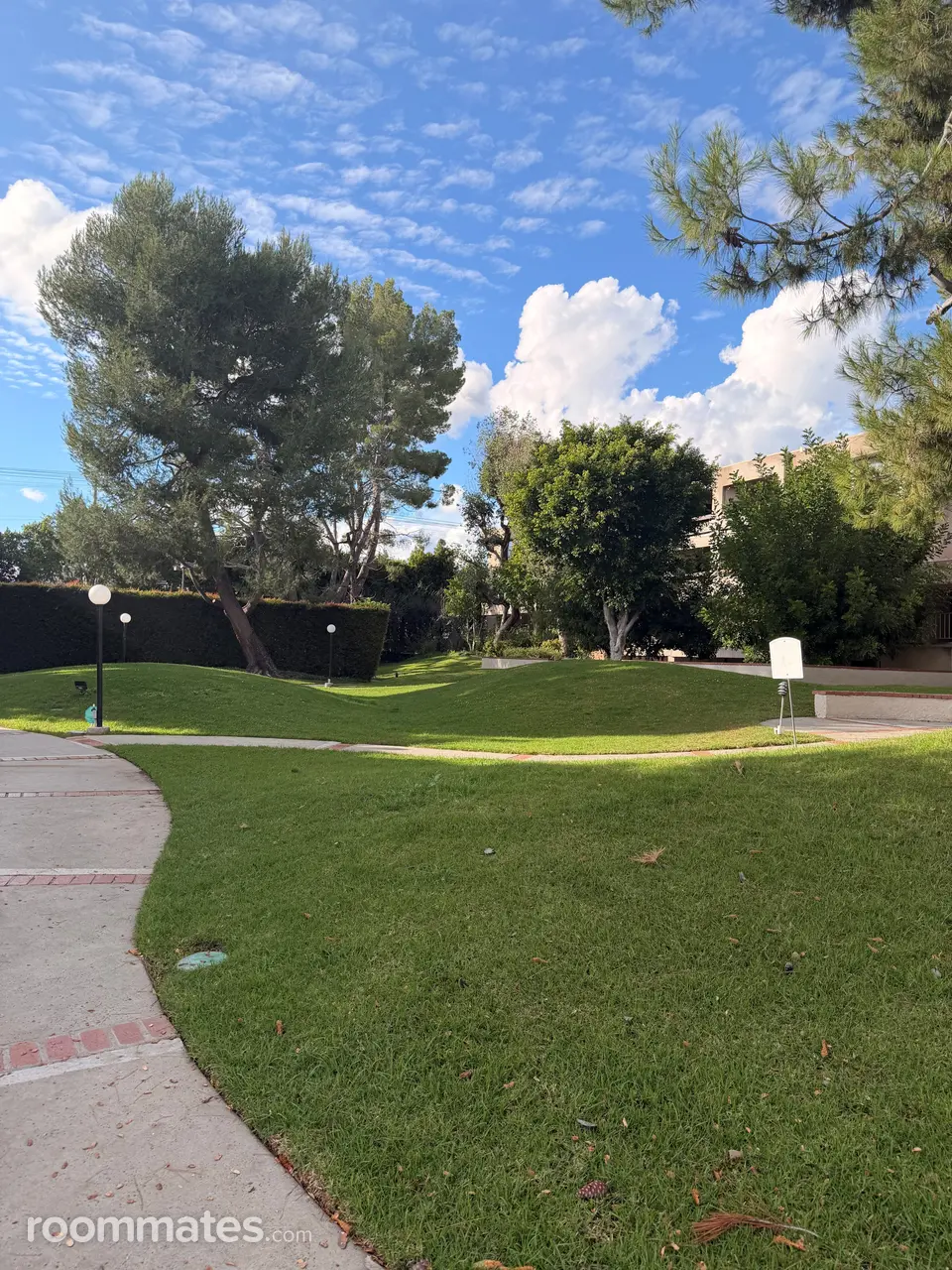 Profile photo 7 of 11