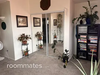 Room for rent in Chandler, AZ $1000, condo