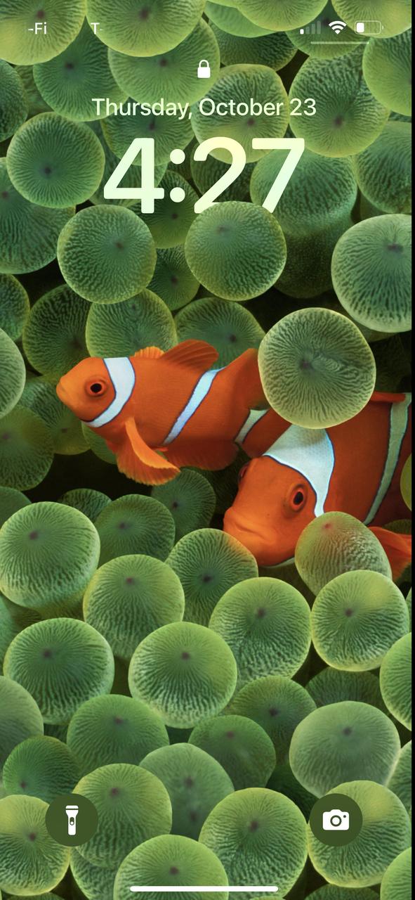 Profile photo 1 of 1