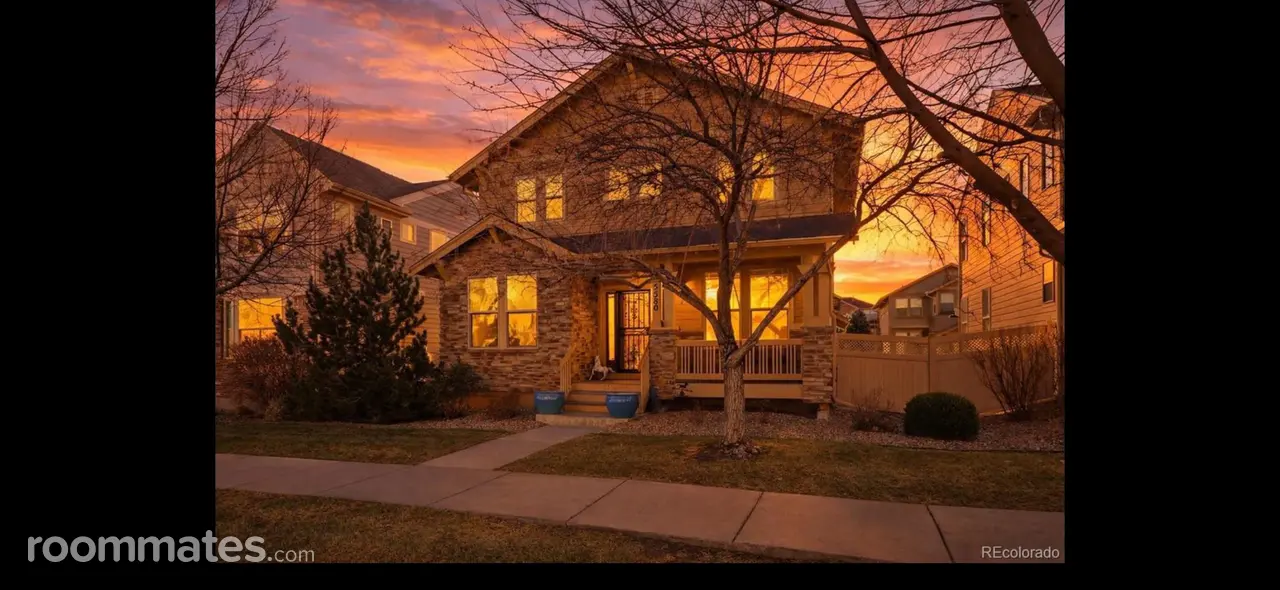 Profile photo 3 of 11