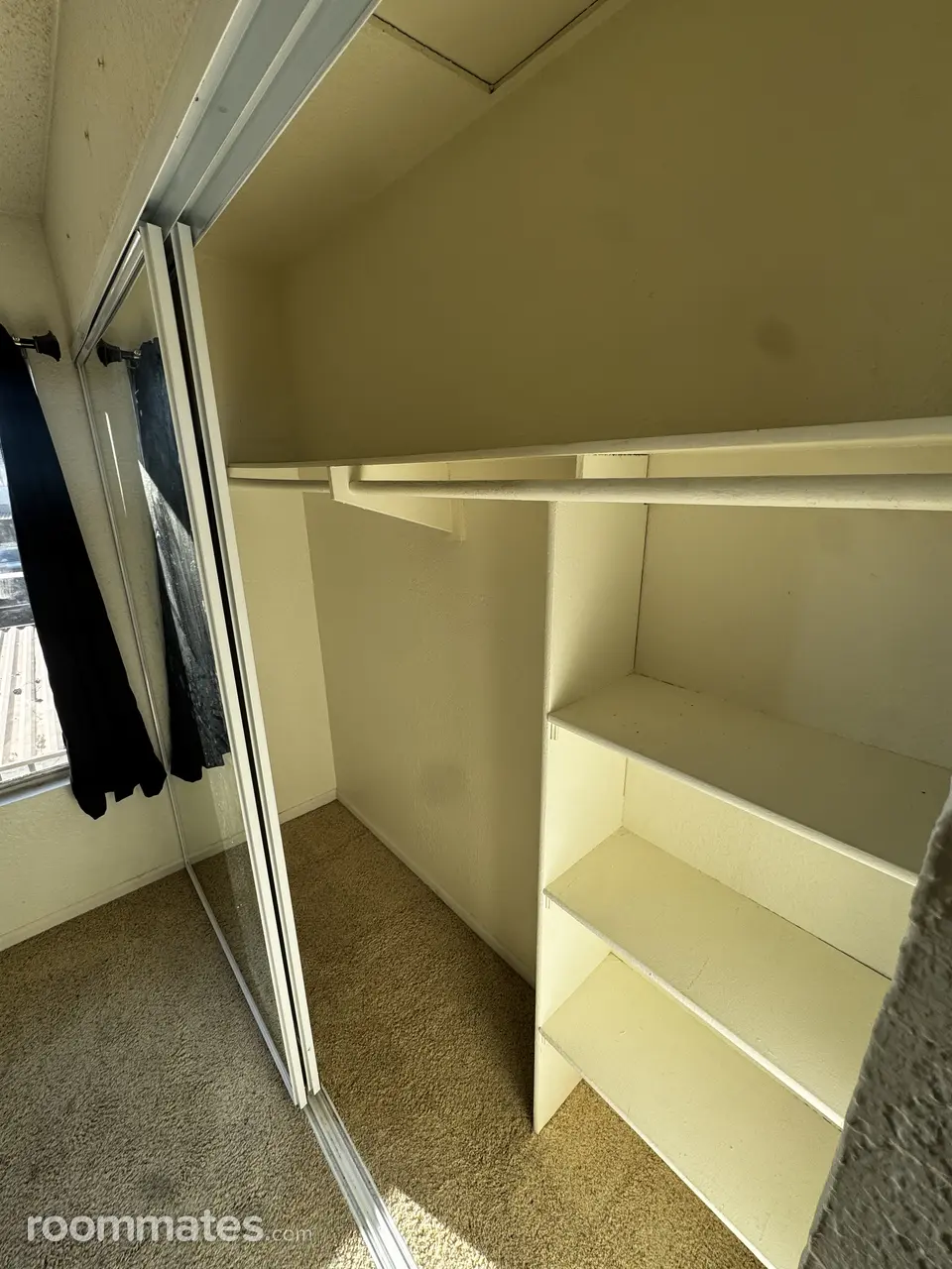 Profile photo 1 of 11