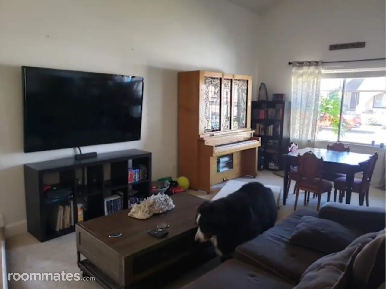 Profile photo 2 of 6