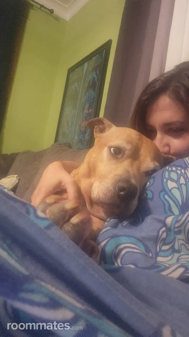 Profile photo 5 of 5