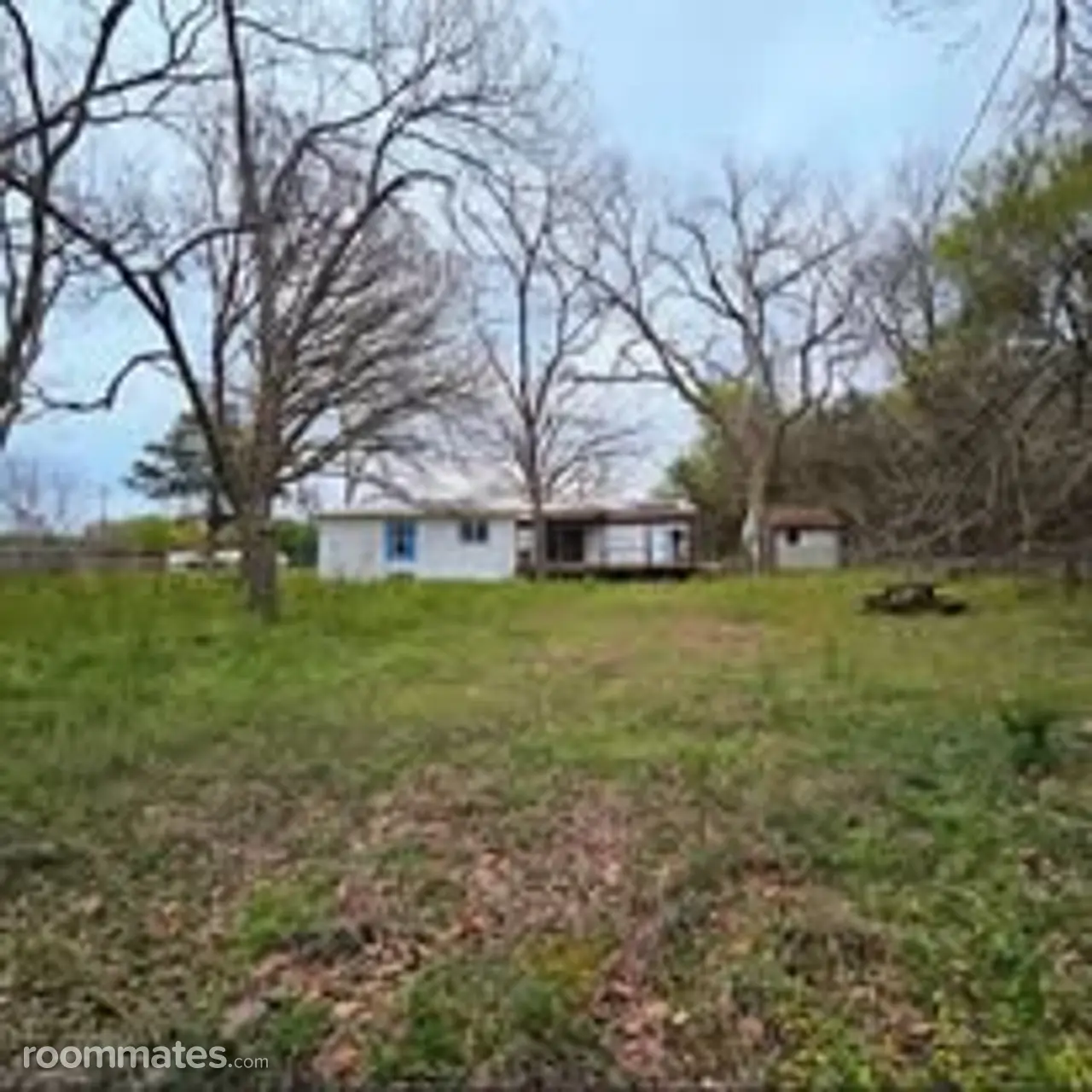 Profile photo 3 of 5