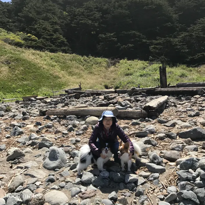 Roommate looking Huntington Beach, CA, $1300