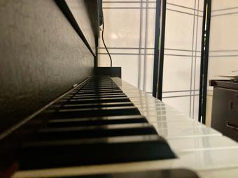 Room for rent in Boston, MA $1260, apartment