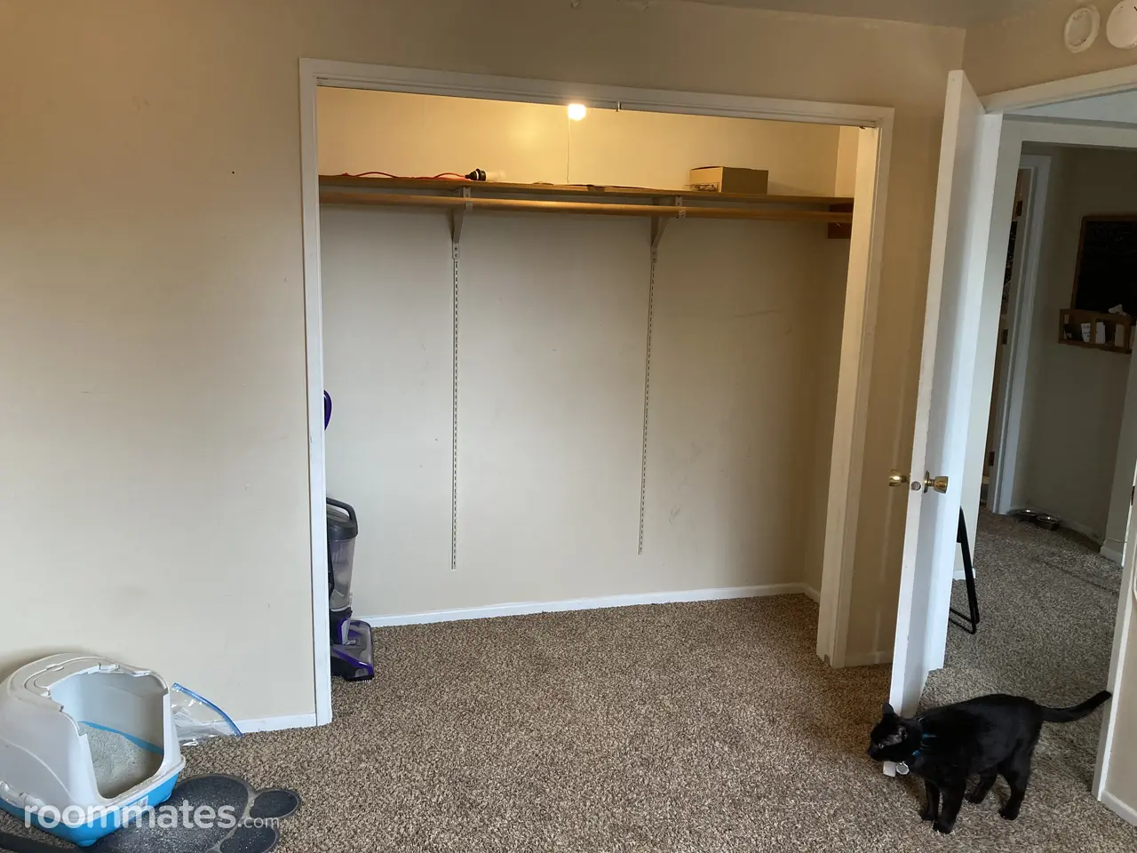 Profile photo 4 of 8