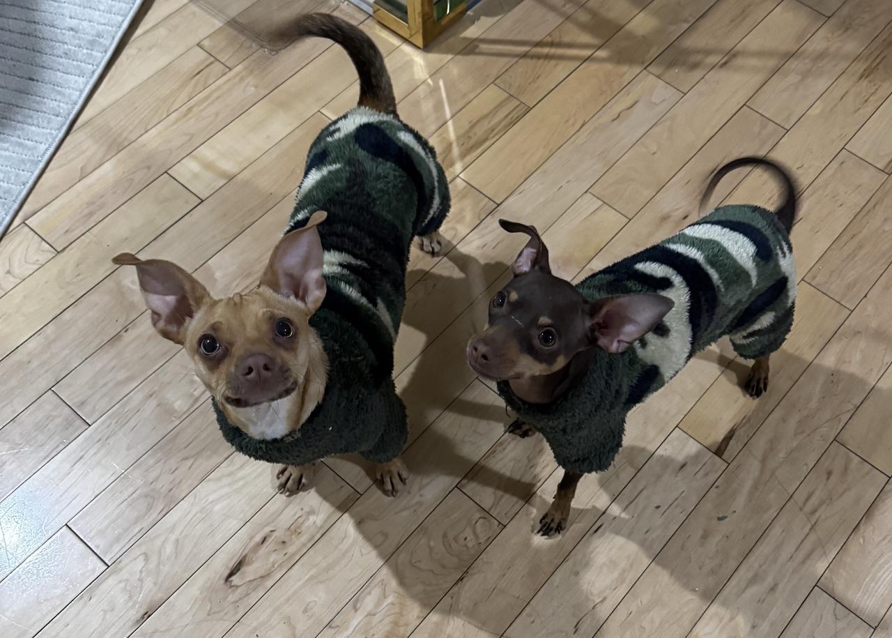 Profile photo 11 of 14