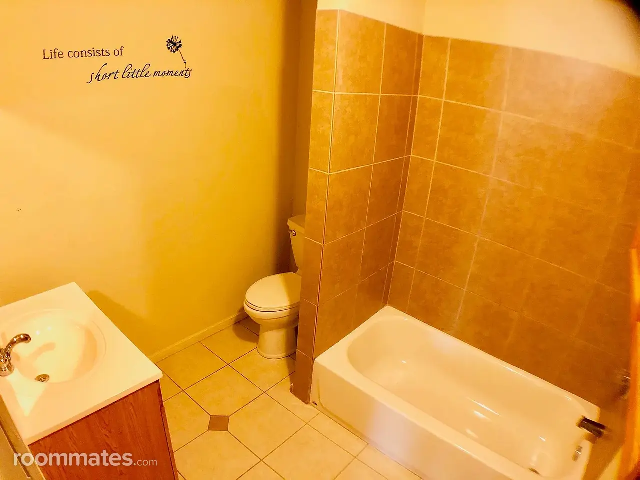 Profile photo 4 of 17