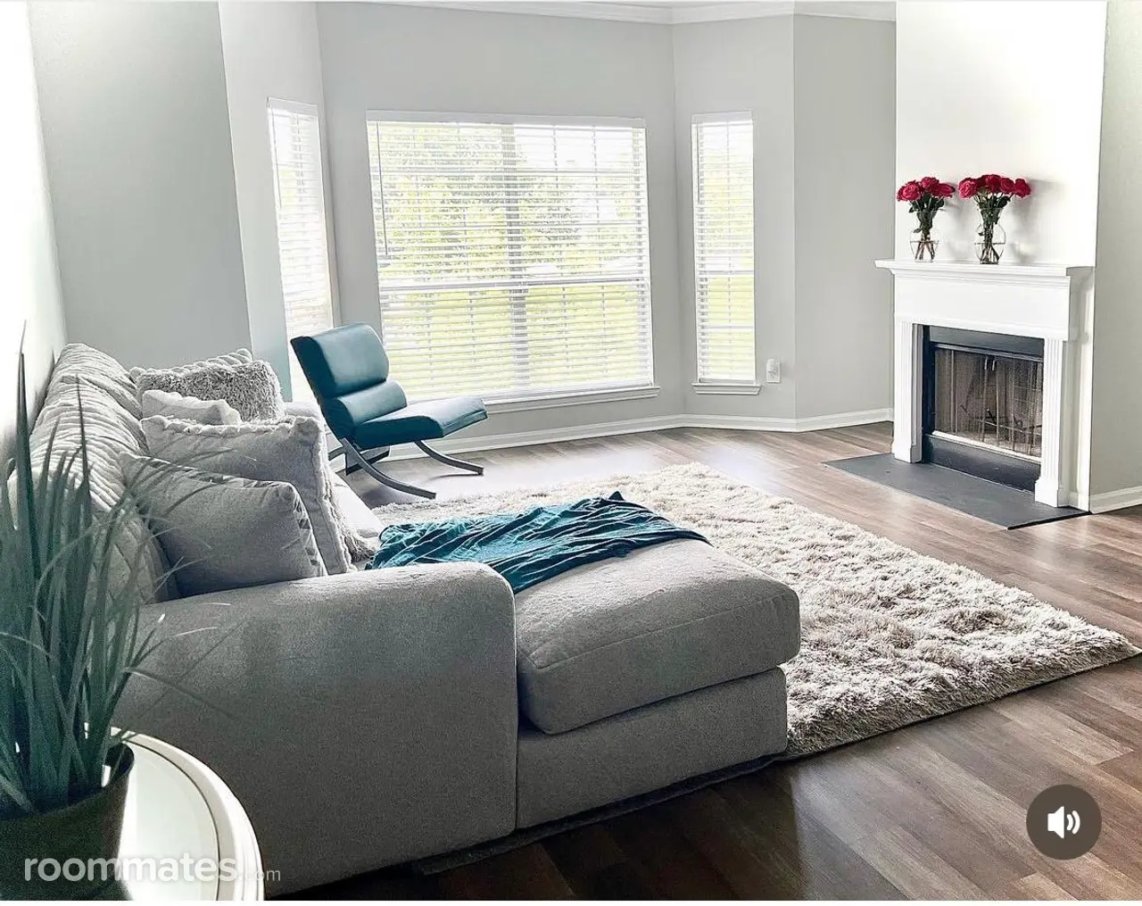 Profile photo 1 of 11