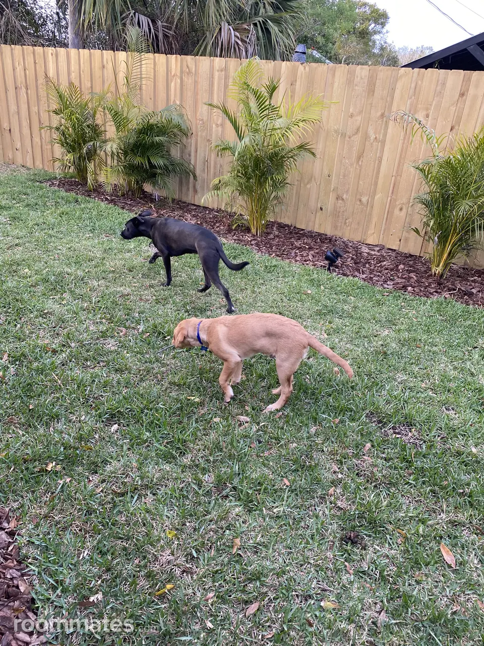 Profile photo 7 of 8