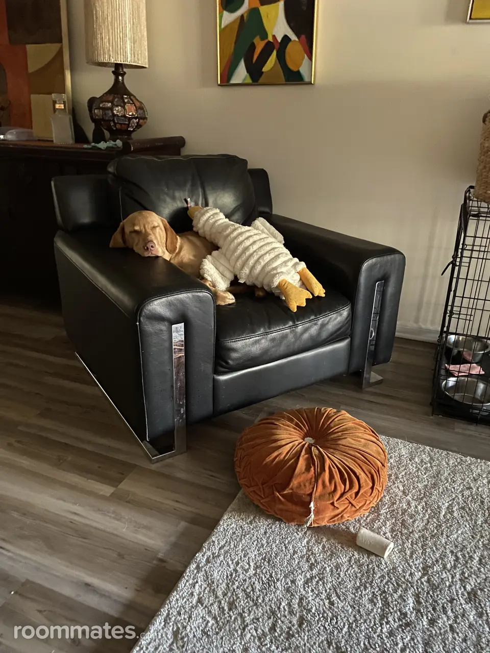 Profile photo 8 of 8