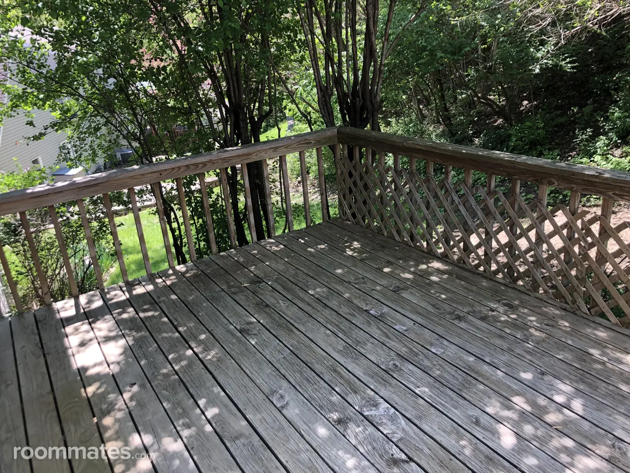 Profile photo 10 of 11