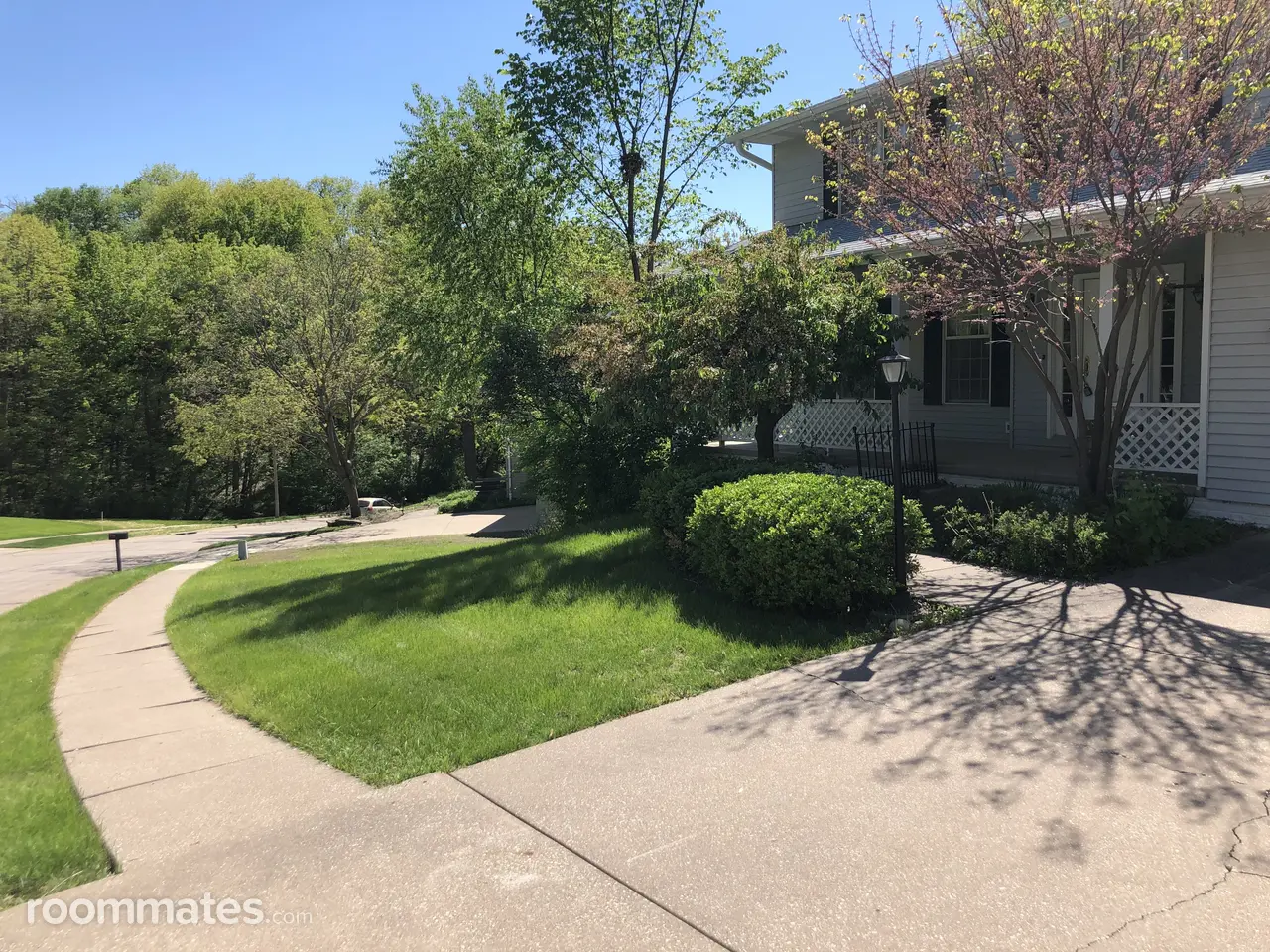 Profile photo 9 of 11