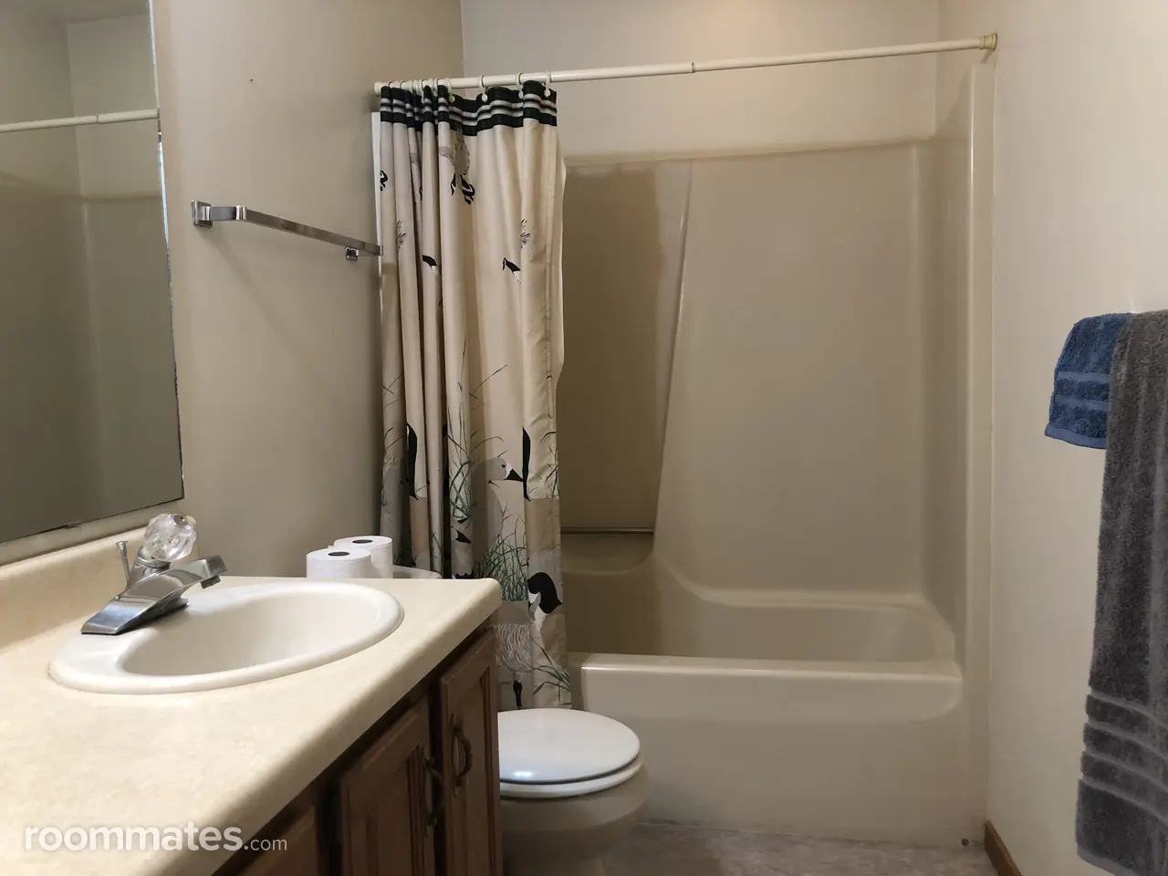 Profile photo 4 of 11