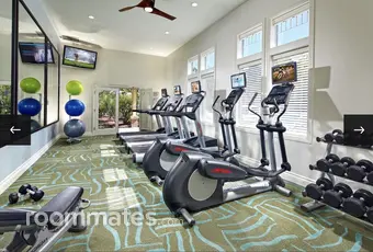 Room for rent in Newark, CA $1250, apartment