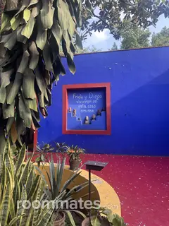 Roommate looking Houston, TX, $1200