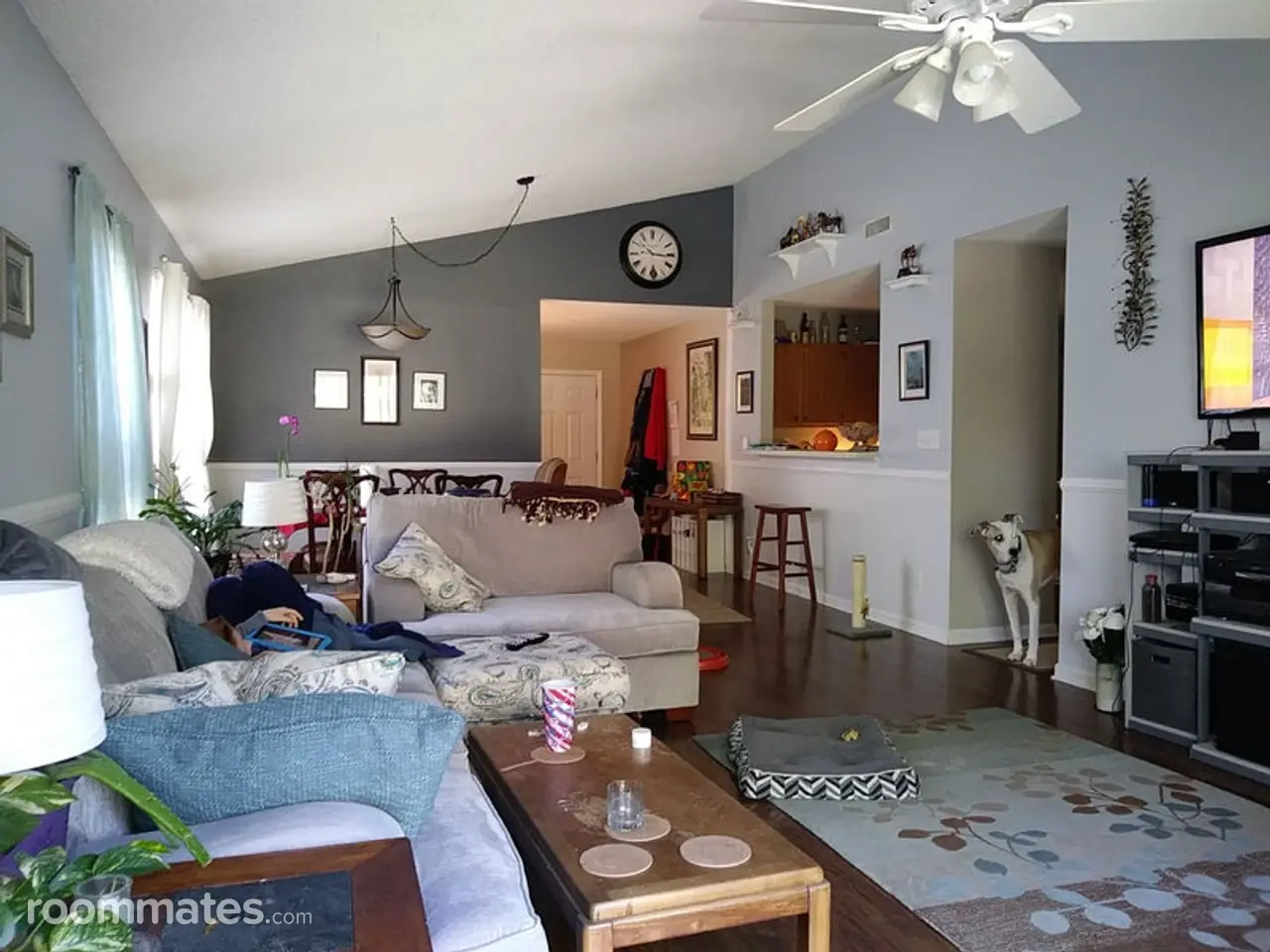 Profile photo 7 of 10