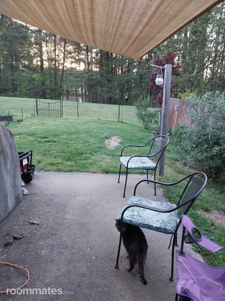 Profile photo 8 of 10