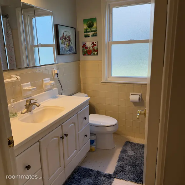Room for rent in St. Louis Park, MN $900, house