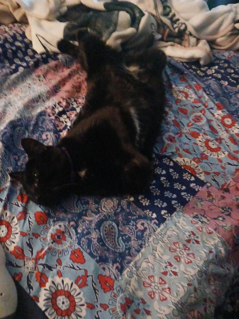 Profile photo 1 of 1