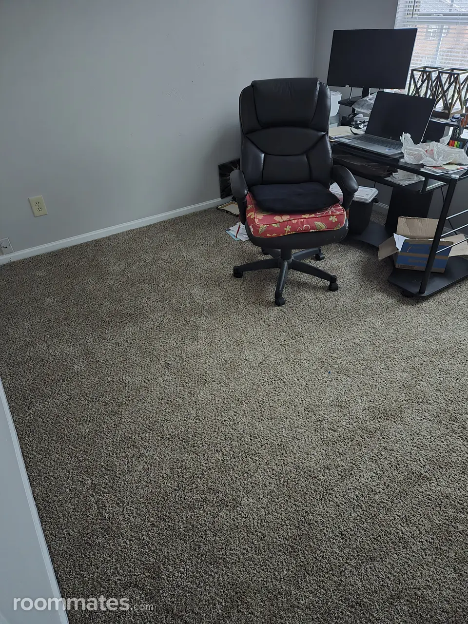 Profile photo 4 of 8