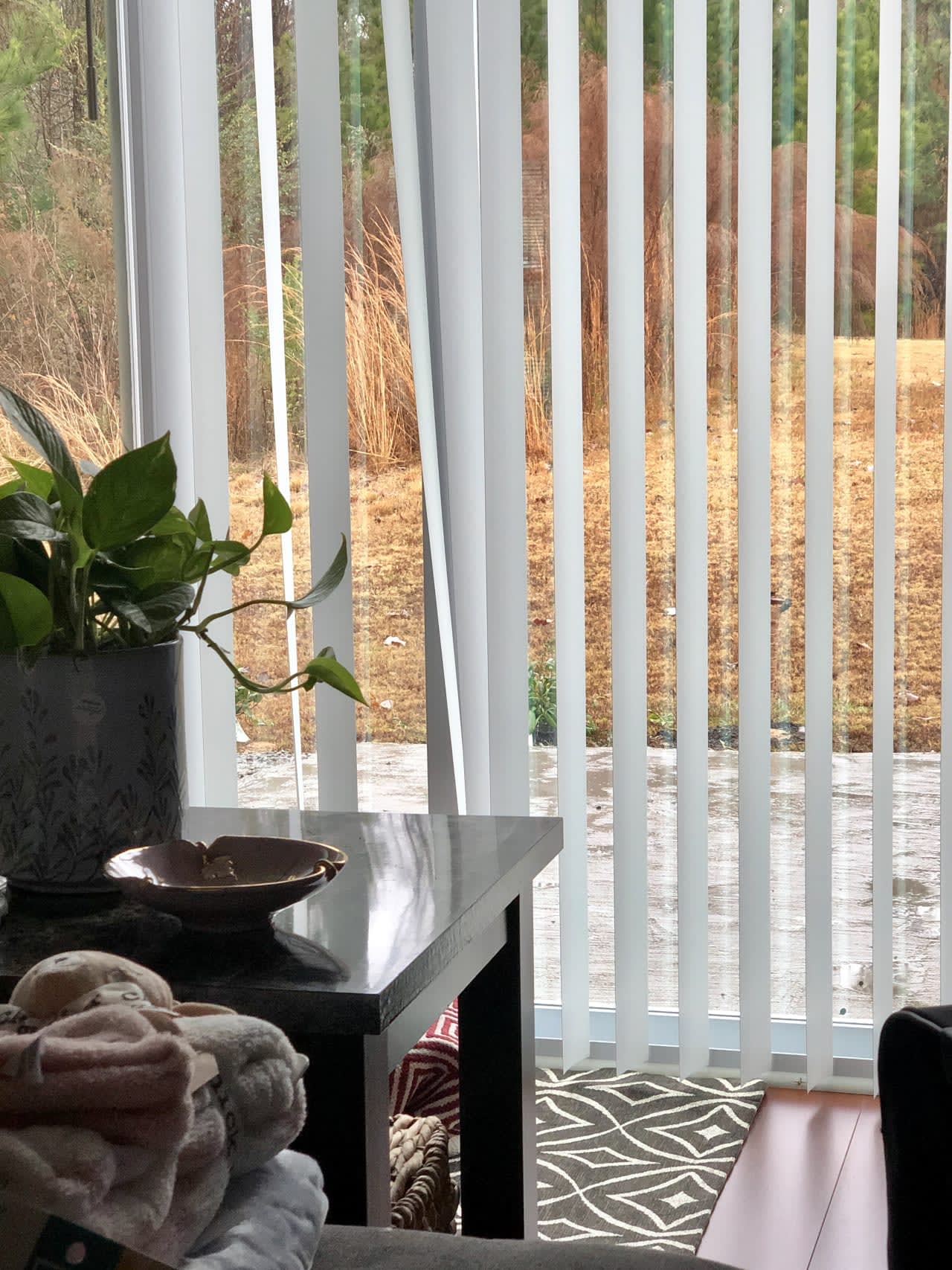 Profile photo 8 of 9