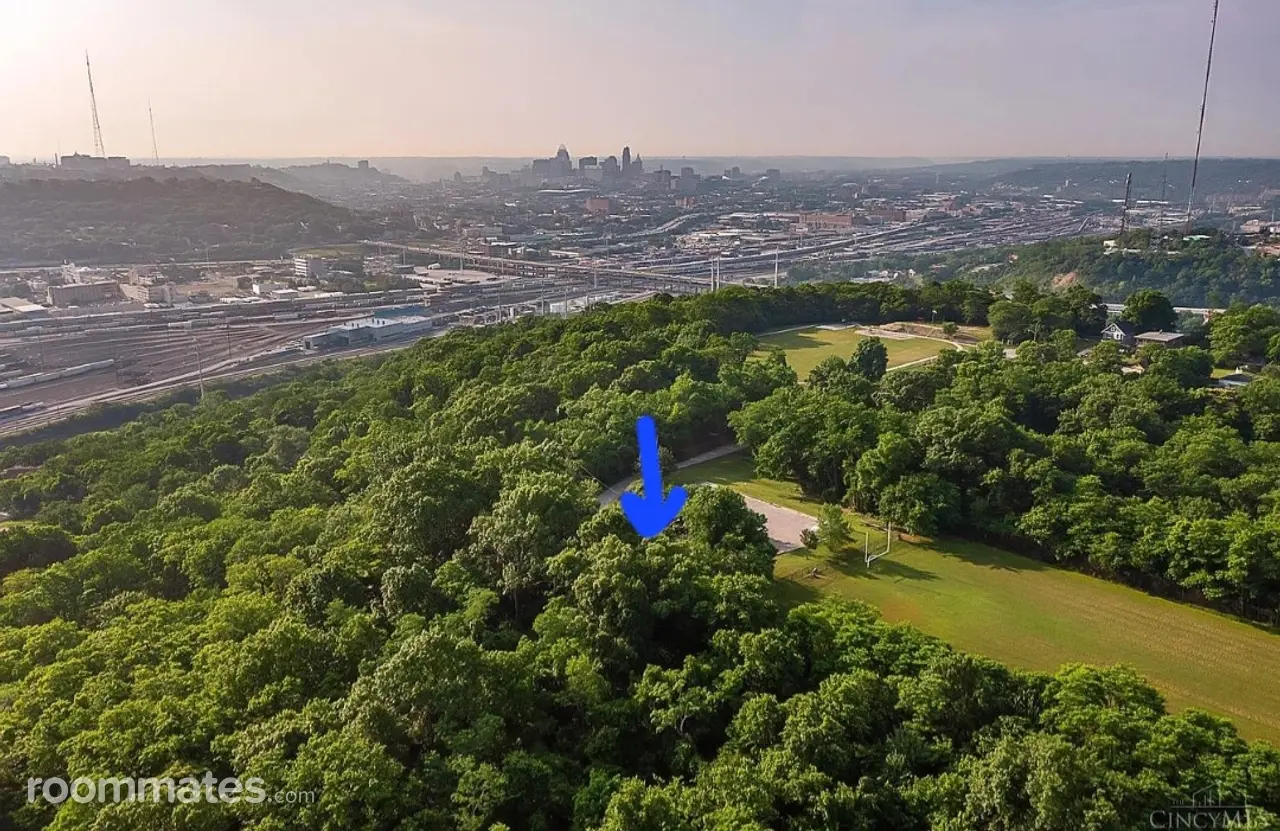 Profile photo 4 of 11