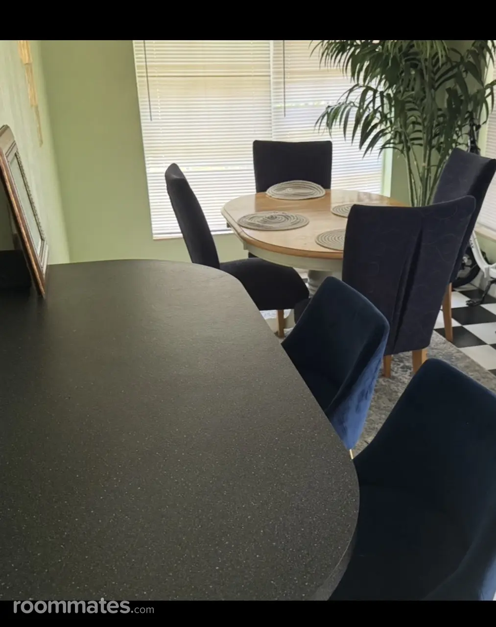 Profile photo 4 of 14