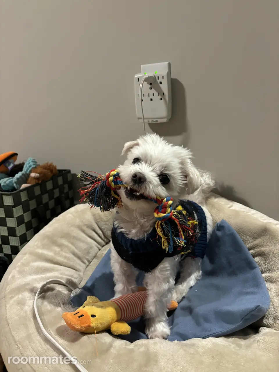 Profile photo 3 of 3