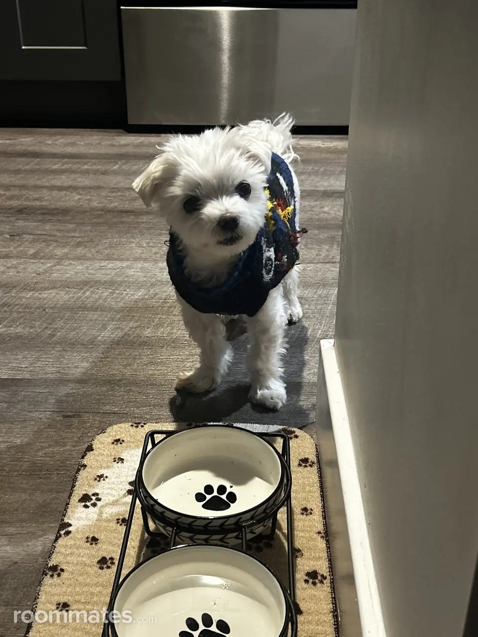 Profile photo 2 of 3