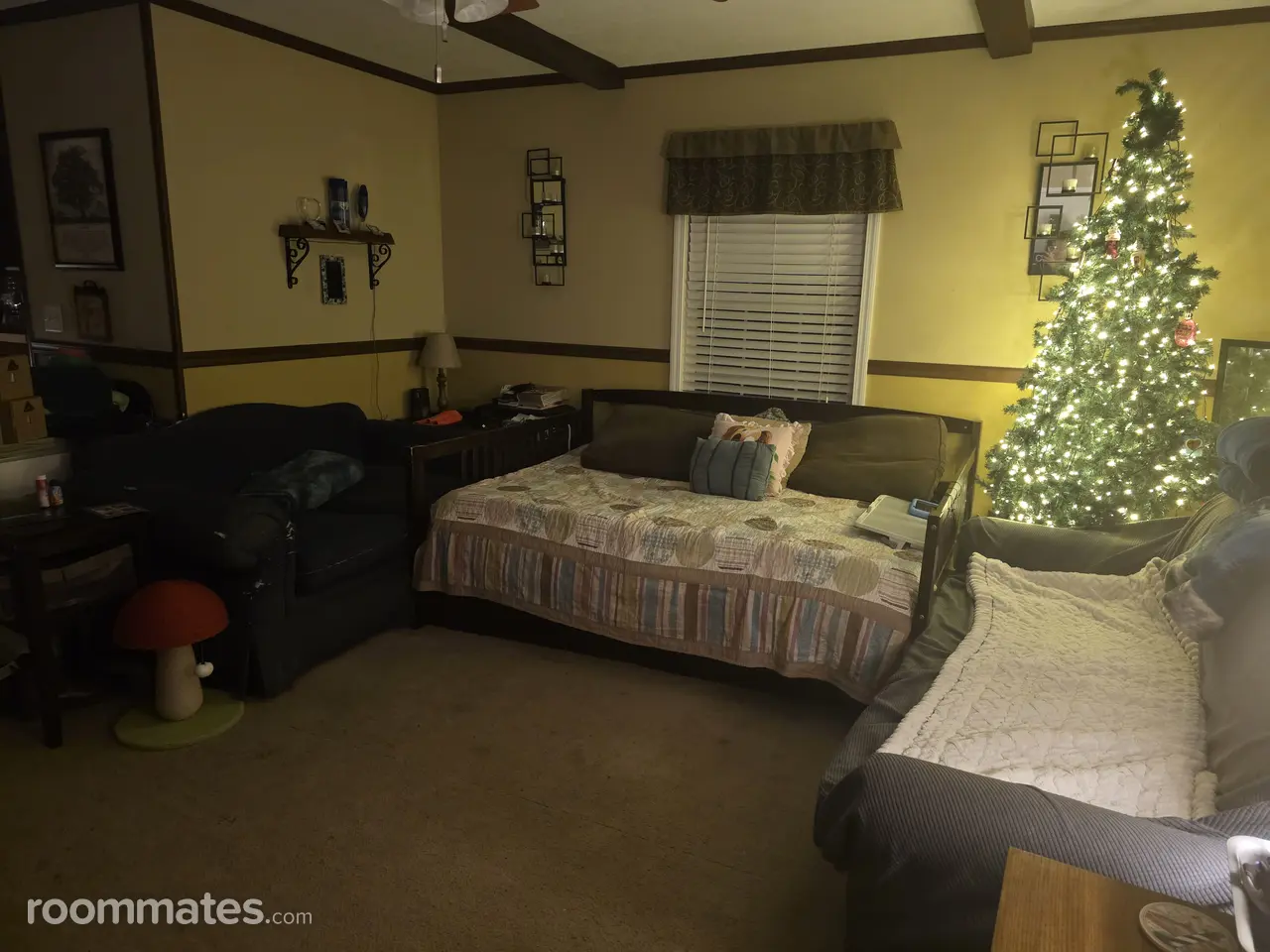 Profile photo 4 of 8