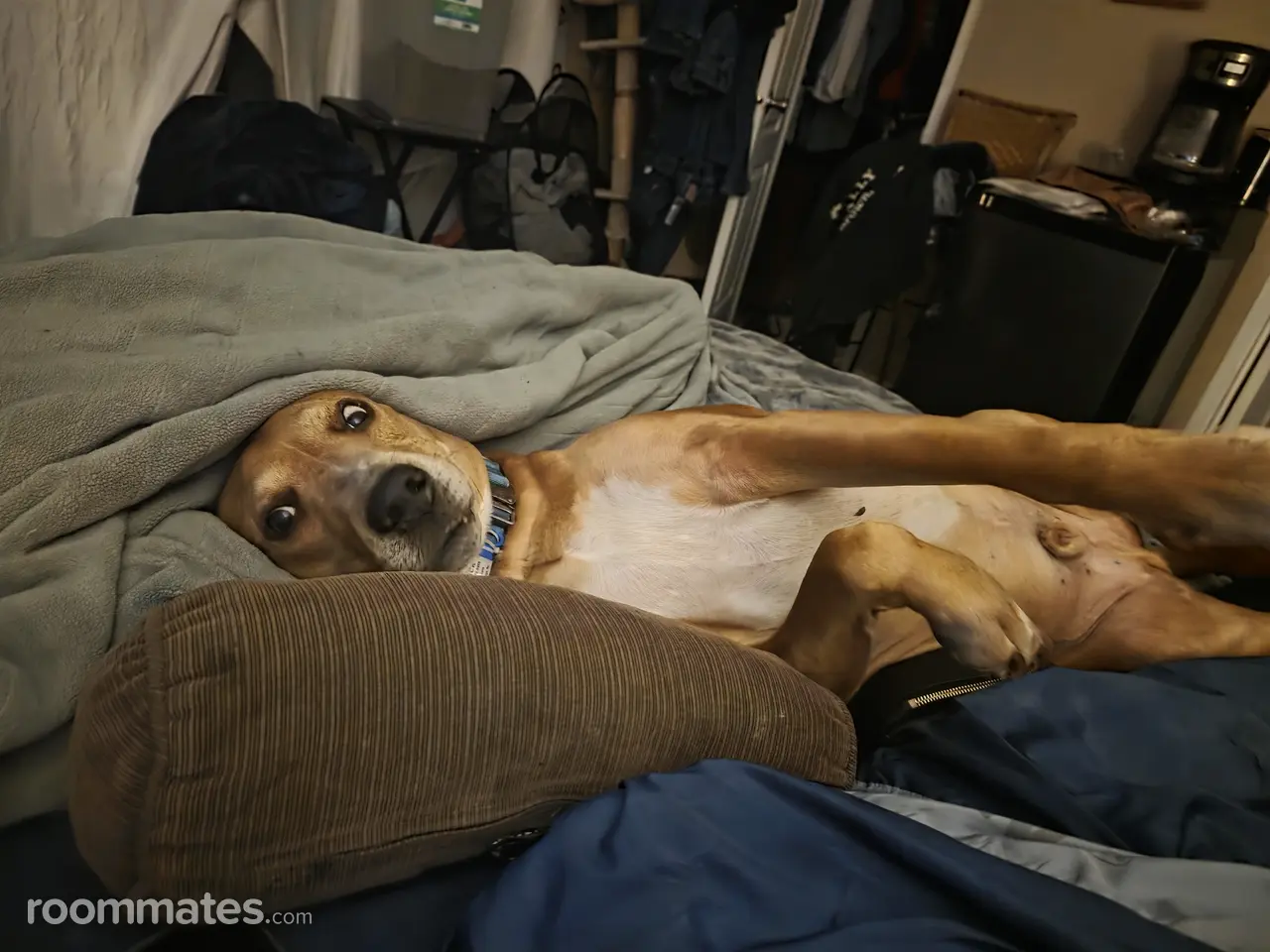 Profile photo 6 of 8