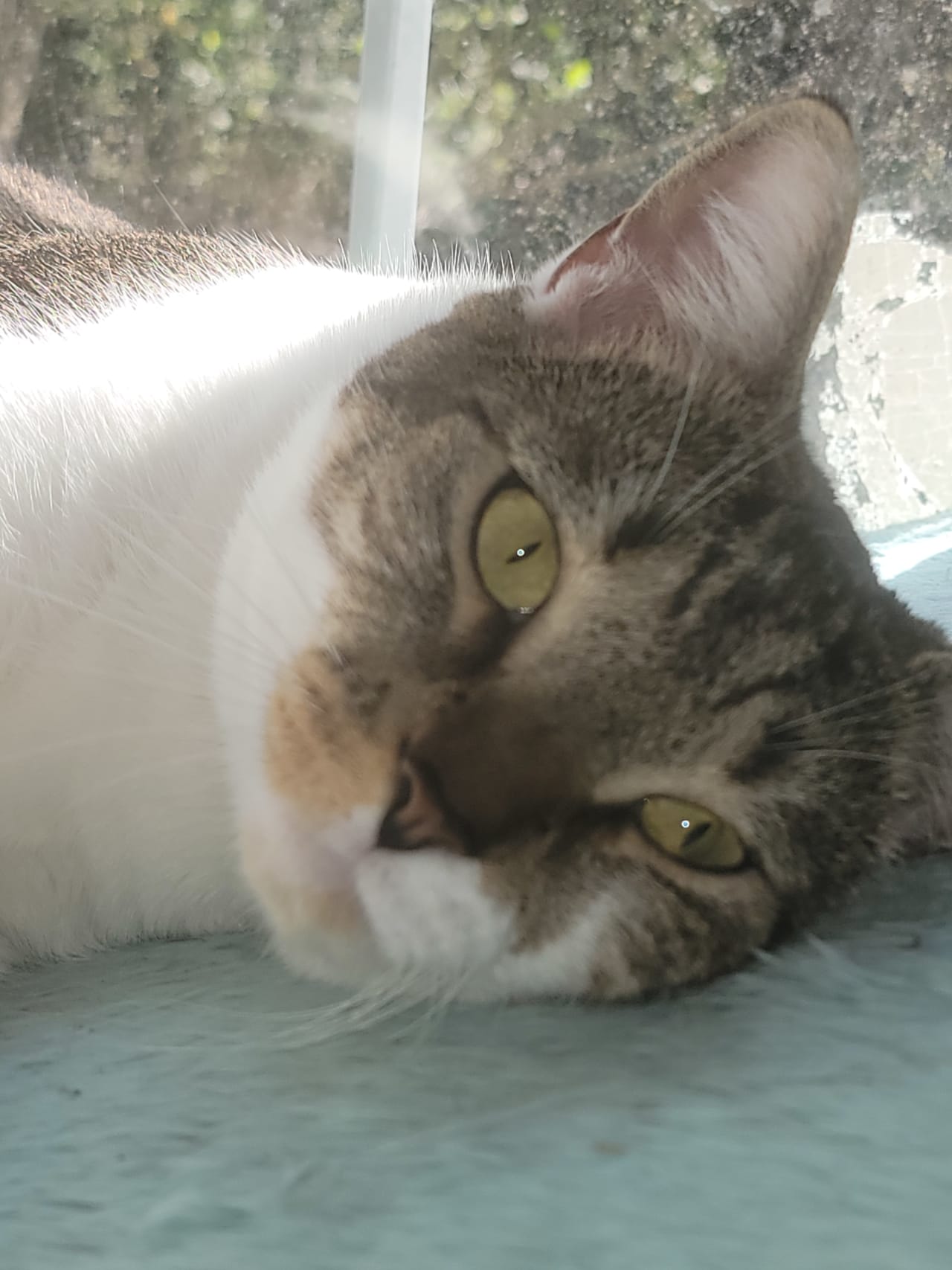 Profile photo 7 of 8