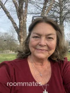 Roommate looking Gilbert, AZ, $1000