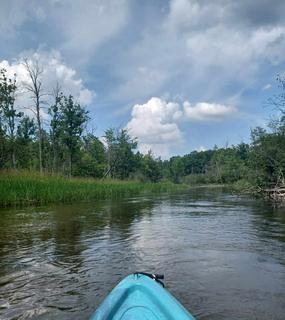 Roommate looking Zeeland, MI, $900