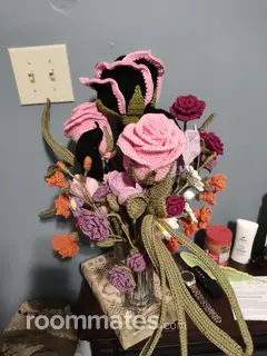 Roommate looking Byron, GA, $600