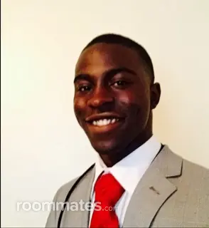 Roommate looking Saint Petersburg, FL, $700