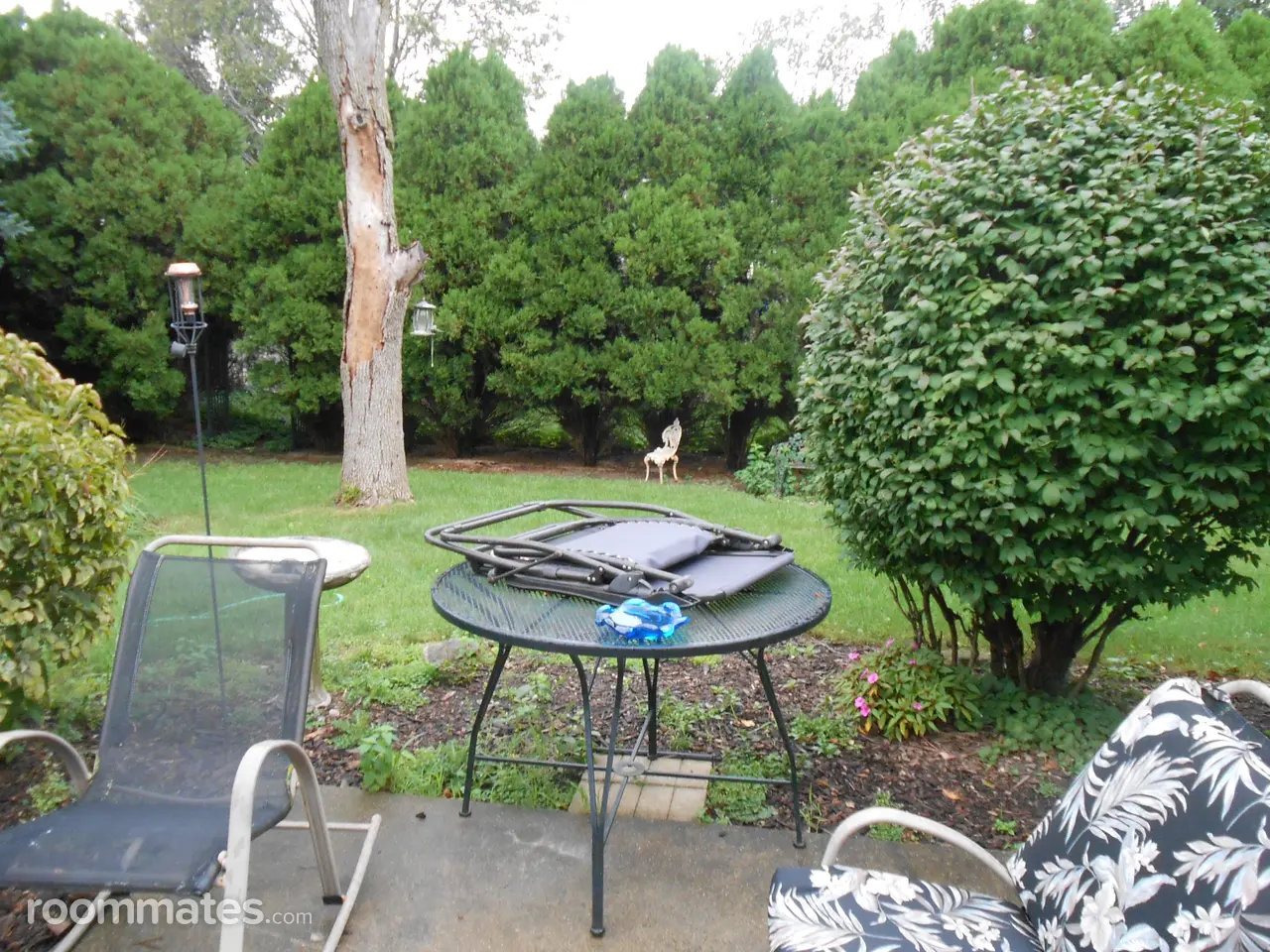 Profile photo 2 of 10