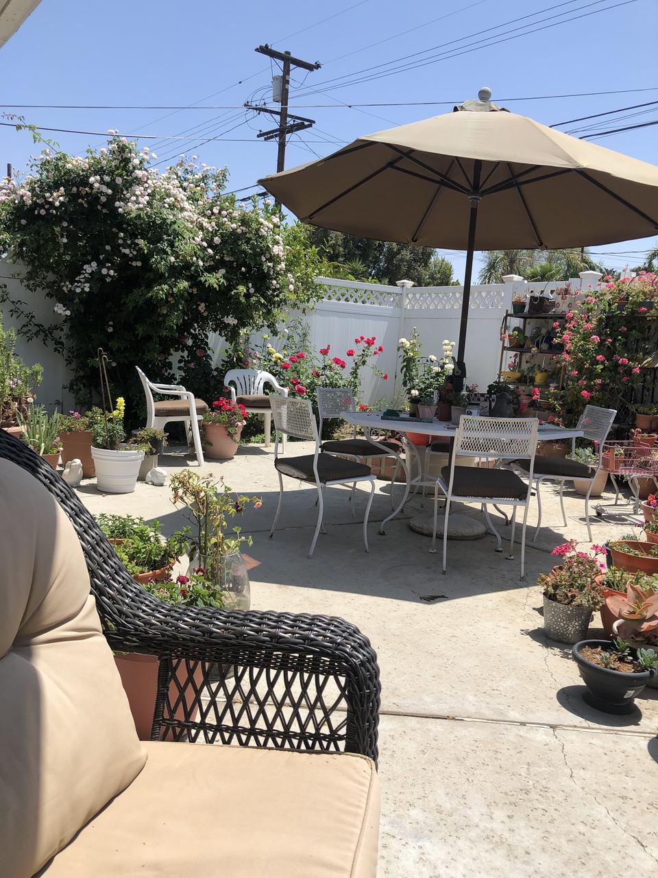 Profile photo 8 of 11