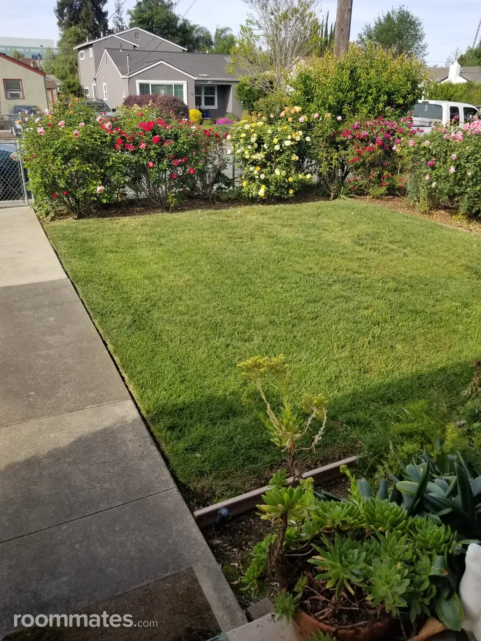 Profile photo 6 of 8