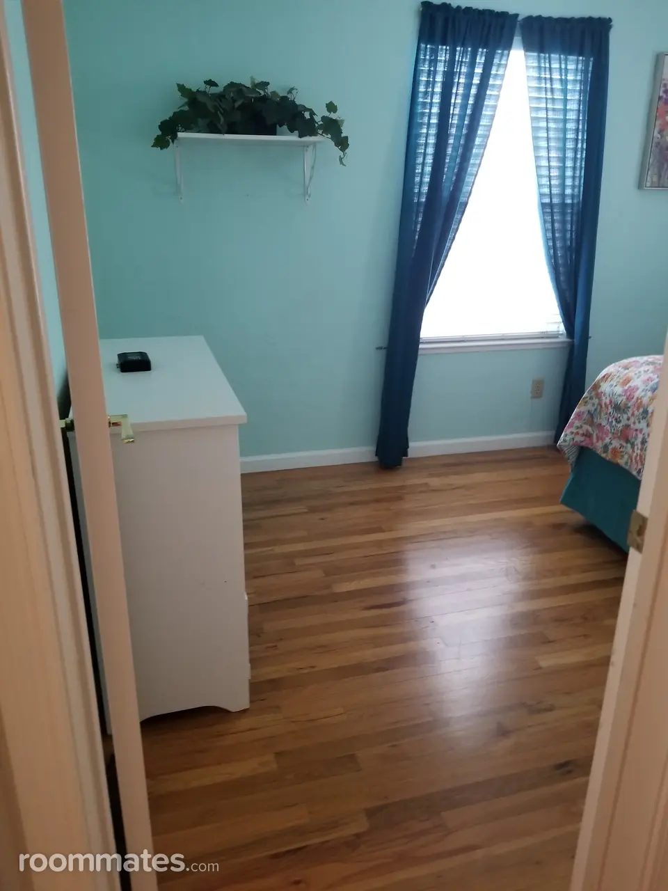 Profile photo 2 of 8