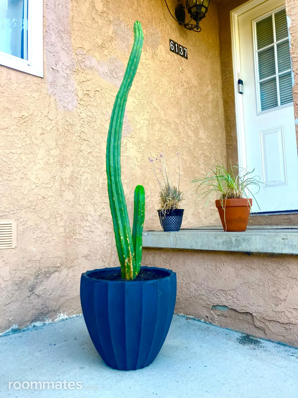 Profile photo 10 of 11