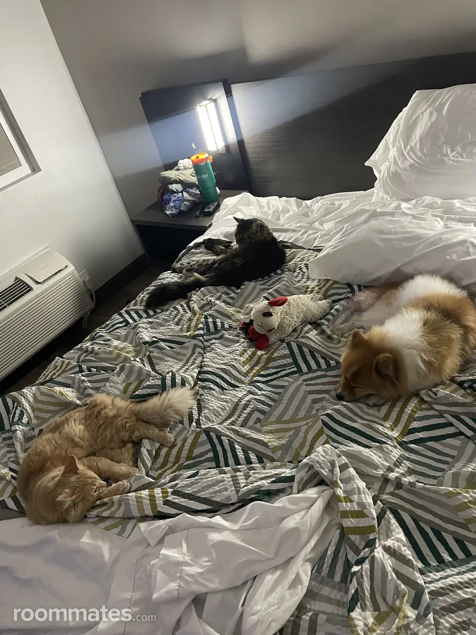 Profile photo 2 of 2