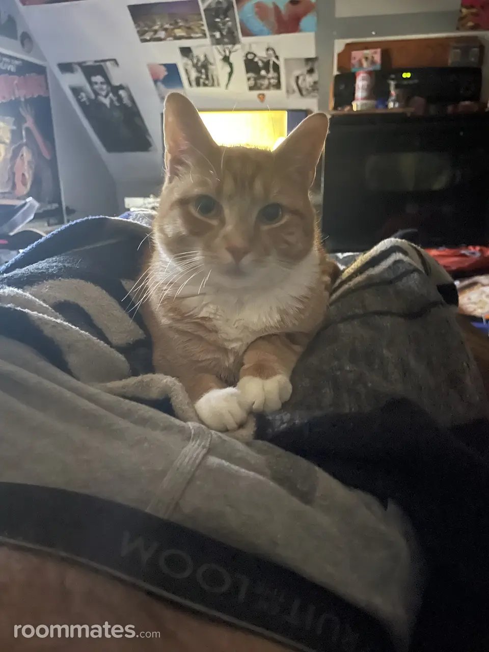 Profile photo 7 of 8