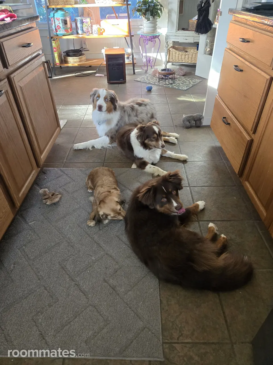 Profile photo 7 of 9