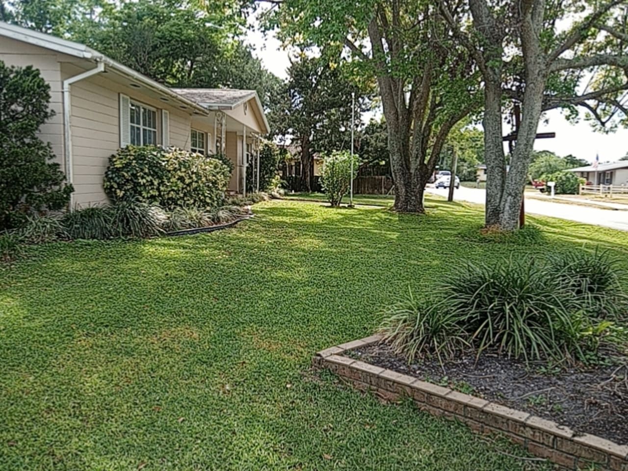 Profile photo 6 of 10