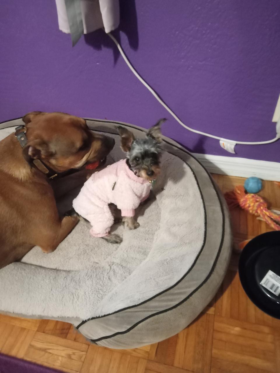 Profile photo 10 of 10