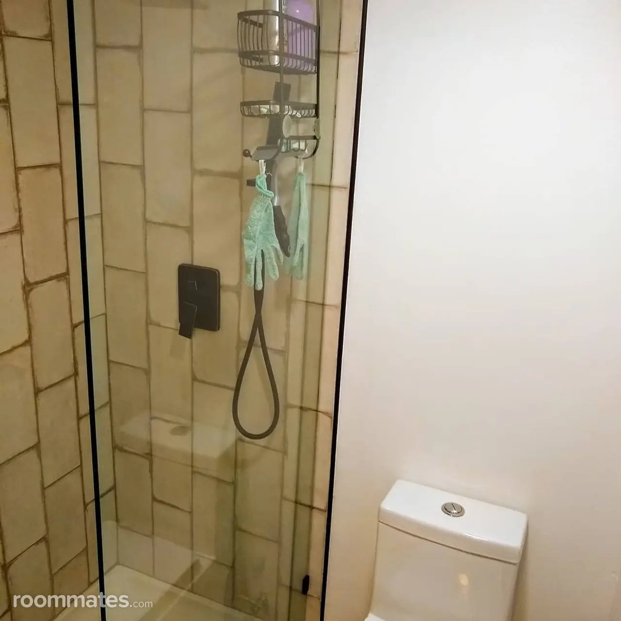 Profile photo 5 of 16